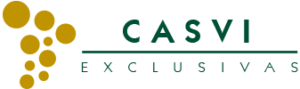 Logo-Casvi